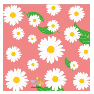 Papatya Kağıt Peçete